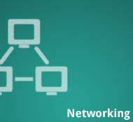 Networking Icon